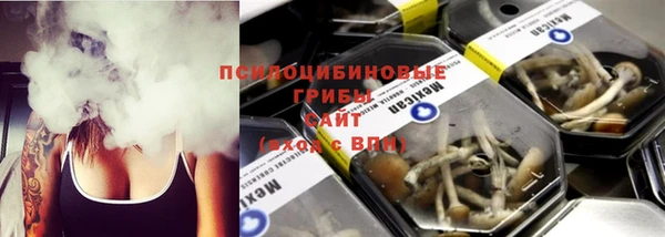 mdpv Рославль
