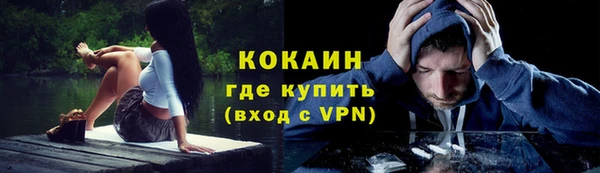 молекула духа Алексин