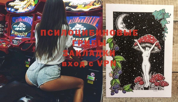 молекула духа Алексин