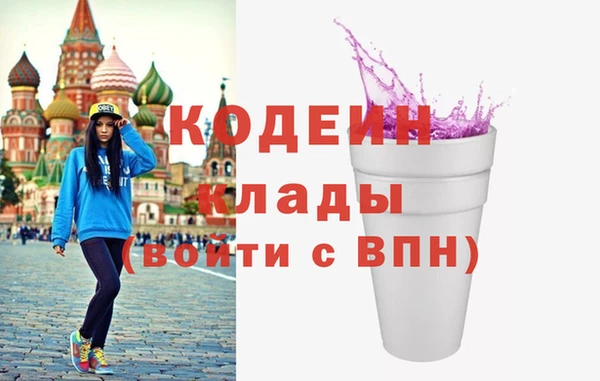 хмурый Алзамай