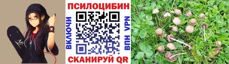 Галлюциногенные грибы Cubensis  Олонец 