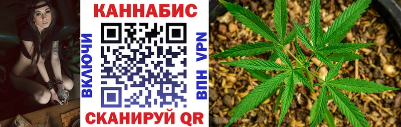 Канабис гибрид  Олонец 